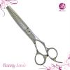 Stainless Steel Forged Thinning Hair Scissors (PLF-FT60BUB)